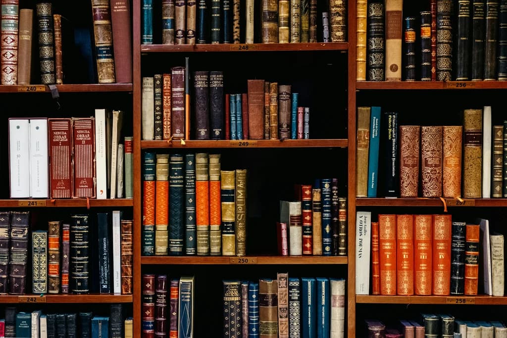 a wall of books