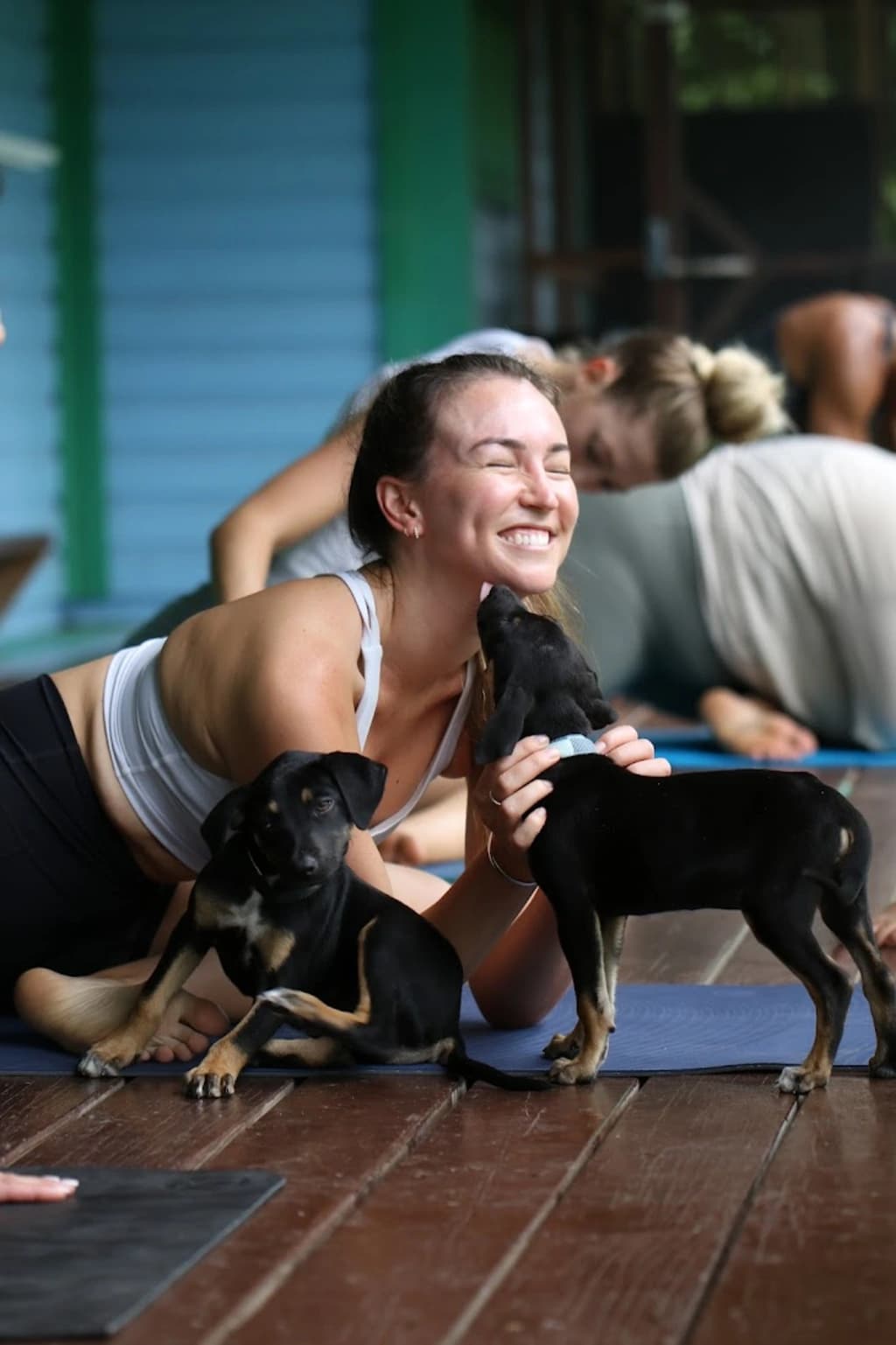 someone doing yoga and being licked by a puppy