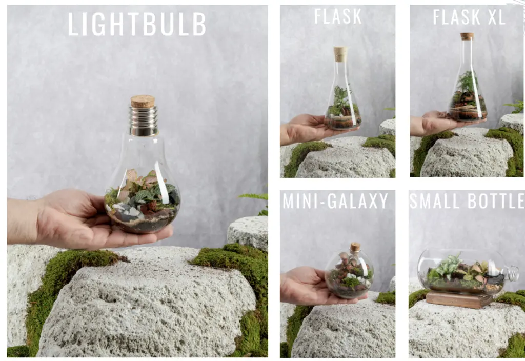 A light bulb-shaped terrarium being held in a hand, filled with miniature plants and moss, placed on a mossy rock.