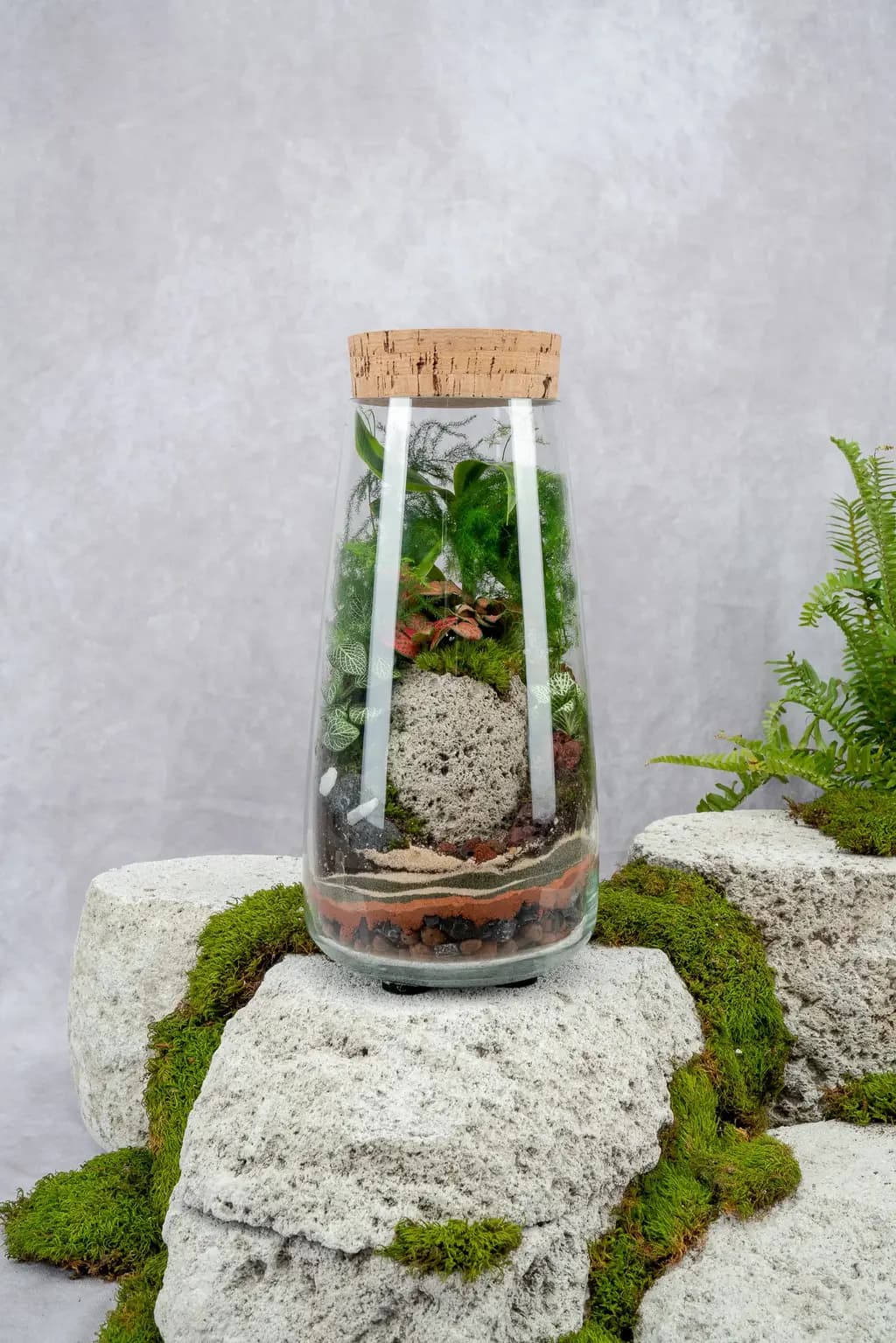 A tall glass terrarium filled with lush green plants and moss, placed on white stones with a natural background.