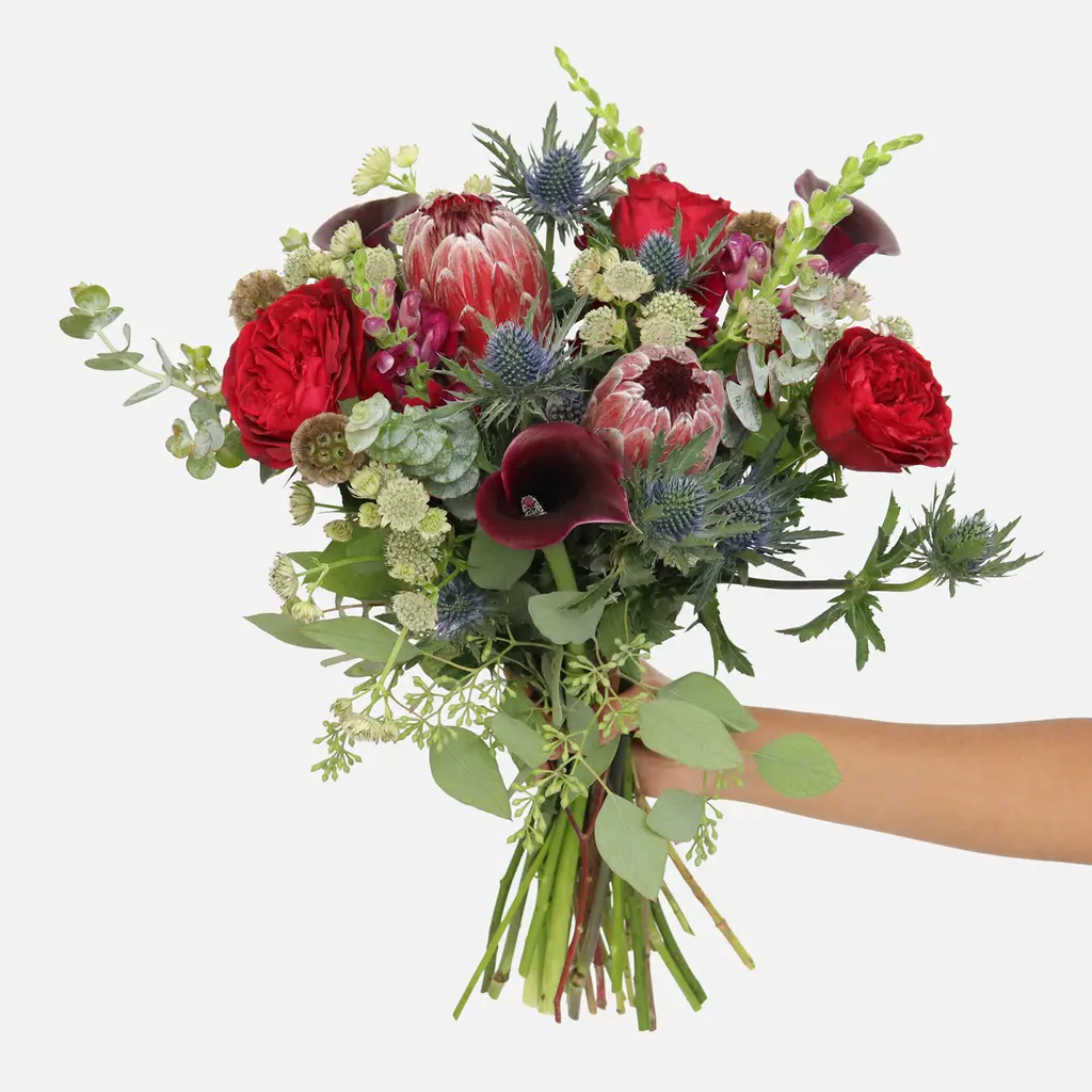 A hand holding a vibrant bouquet of red and burgundy blooms accented by blue thistles and eucalyptus.