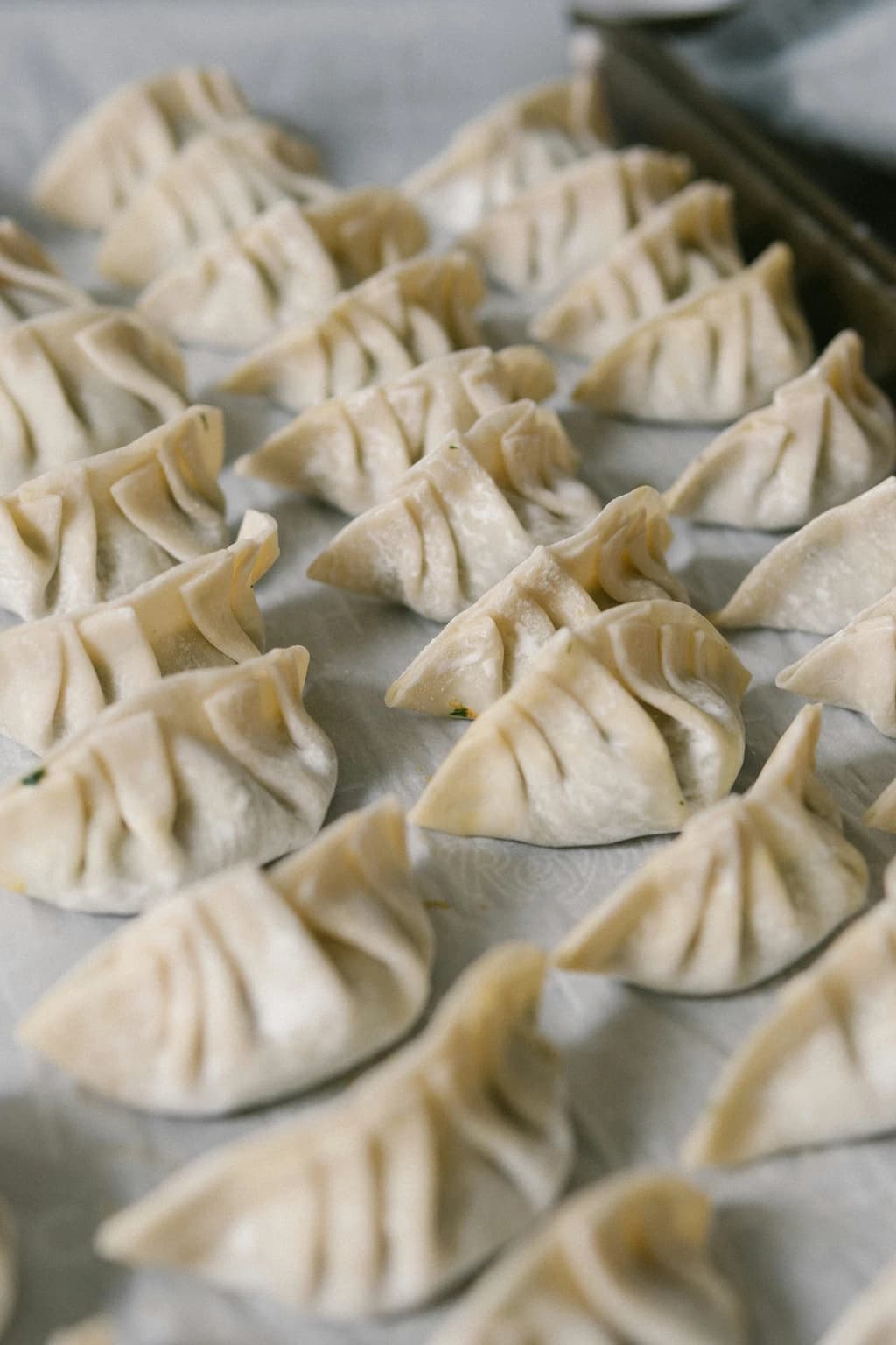 rows of freshlyf made dumplings