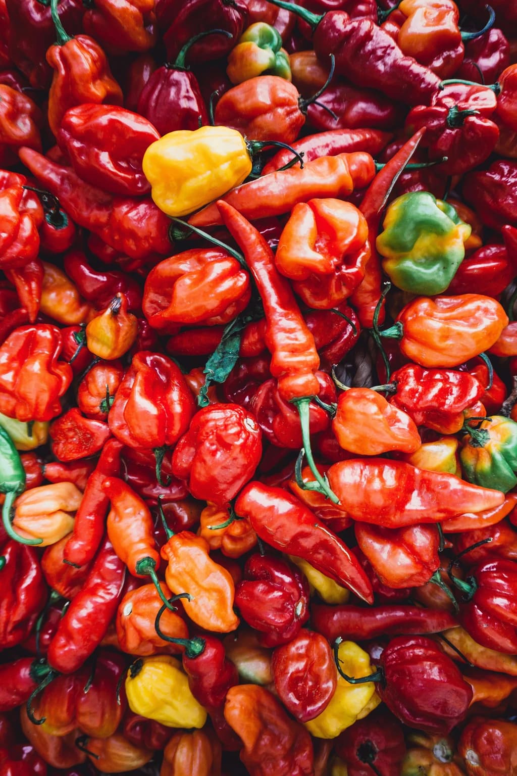 a bunch of different types of peppers